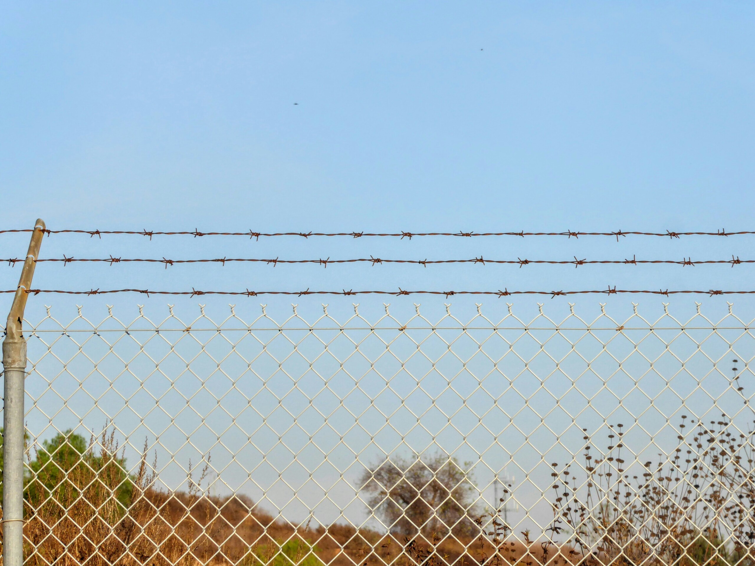 Mesh wire fencing