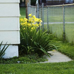Chain Link Fence Contractors